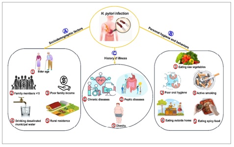  Epidemiology, pathogenicity, risk factors, and management of Helicobacter pylori infection in Saudi Arabia