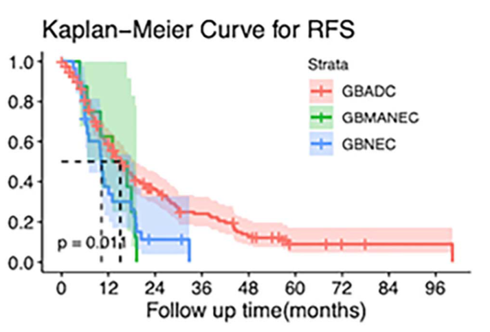 Comparison of the clinical features and long-term prognosis of gallbladder neuroendocrine carcinoma versus gallbladder adenocarcinoma: A propensity score-matched analysis