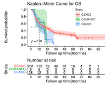 Comparison of the clinical features and long-term prognosis of gallbladder neuroendocrine carcinoma versus gallbladder adenocarcinoma: A propensity score-matched analysis