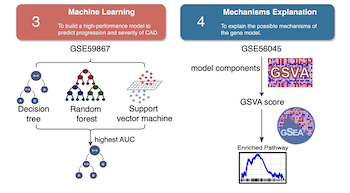 A novel machine-learning-derived four-gene signature predicts STEMI and post-STEMI heart failure