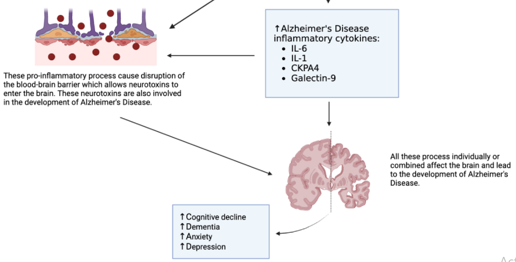 COVID-19 and Alzheimer’s disease: Impact of lockdown and other restrictive measures during the COVID-19 pandemic