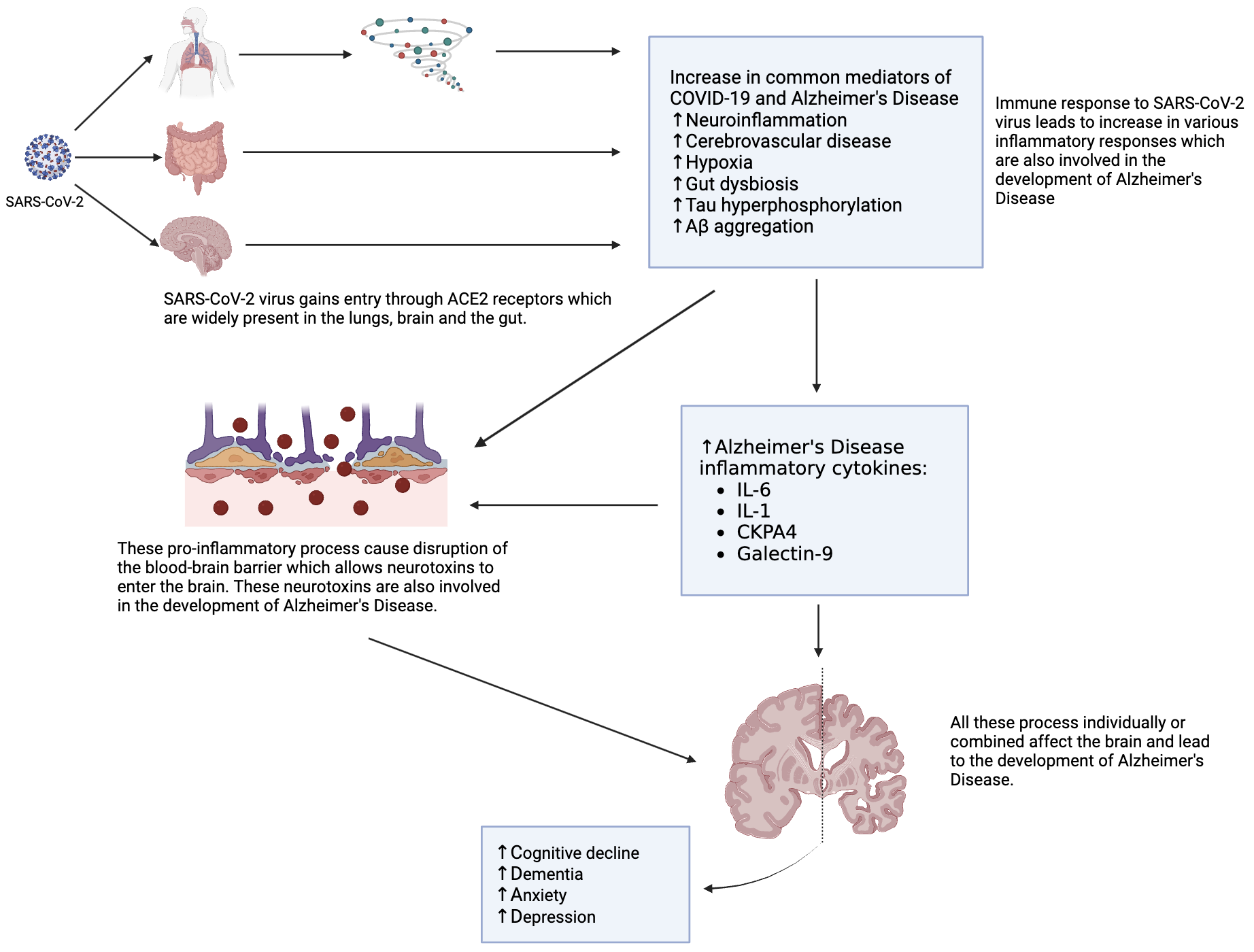 COVID-19 and Alzheimer’s disease: Impact of lockdown and other restrictive measures during the COVID-19 pandemic