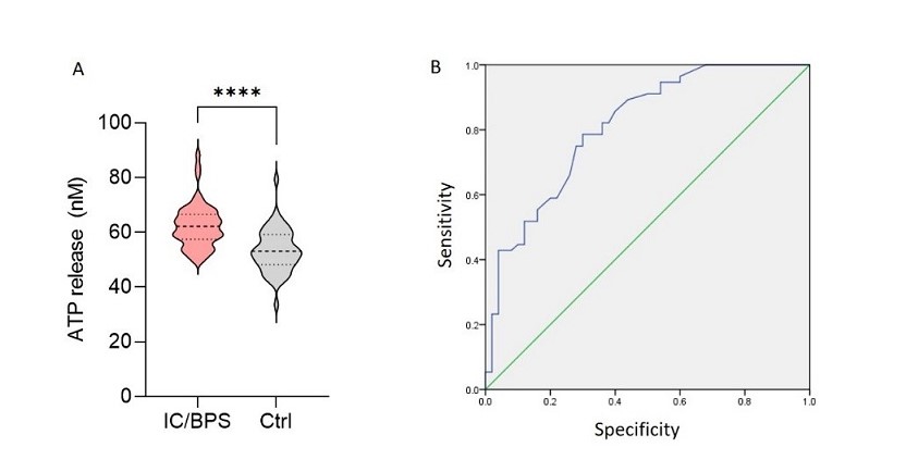 Urinary ATP may be a biomarker of interstitial cystitis/bladder pain syndrome and its severity