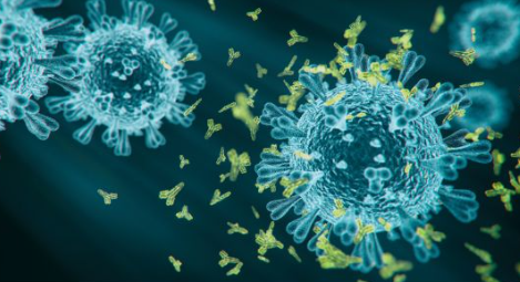 COVID-19 in pregnancy: A cross-sectional study on clinical features, disease severity, and health outcome